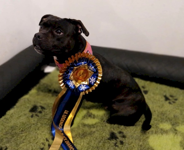 LIL LEGENDS A BLACK DIAMOND