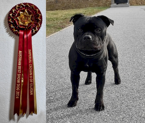 IMPERIAL CROWN II OF EILATAN